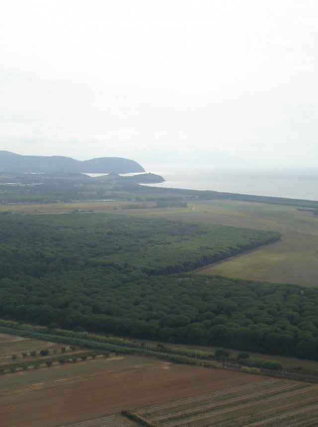 Tenuta di Rimigliano